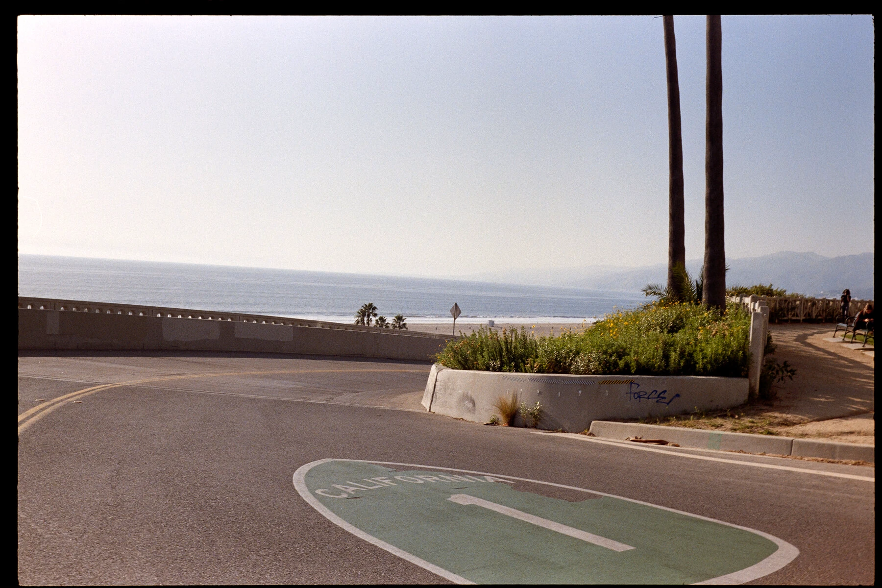 A California Highway 1 shield painted on the road where it curves down toward the beach, with two tall palms and the hazy Pacific Ocean beyond.